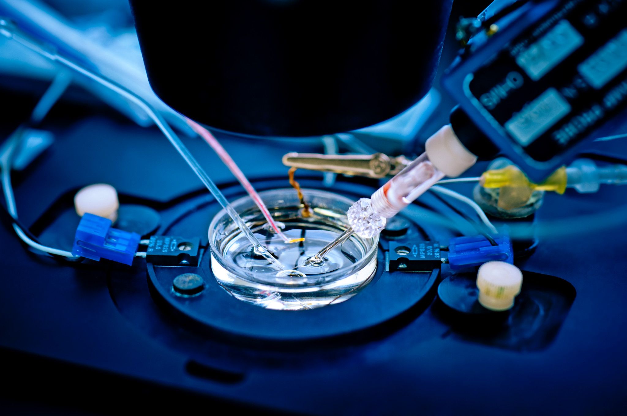 Advanced Manufacturing for Bioelectronic – Andy wang lab @ HKUST-GZ